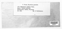 Image Associated With the Occurence